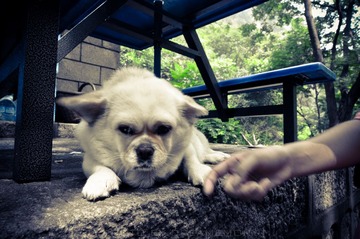 20130726-DSC_0249.jpg