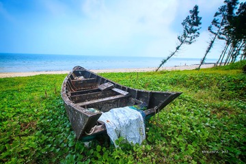 望海