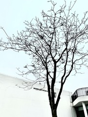 70D9E013-A1DA-4504-8C9C-35690D63FED2/L0/001