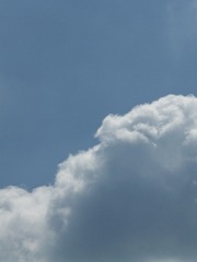 1000161059