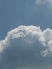 1000161063