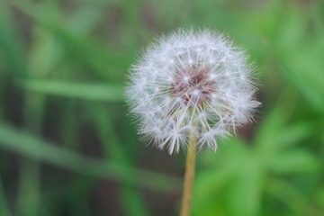 899C9E6B-4411-43A9-A32D-15D1CD531529/L0/001