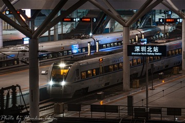 1000169305