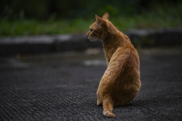 1000165145