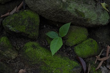 1000165886