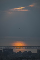 1000165184