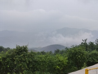 1000017315