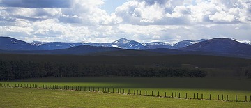 IMG_0055-2.jpg