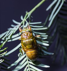 JI7A8621-2.jpg