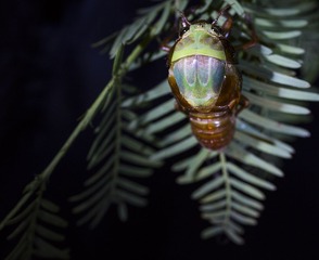 JI7A8624-2.jpg