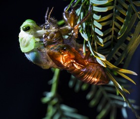 JI7A8629-2.jpg