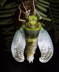 JI7A8676-2.jpg