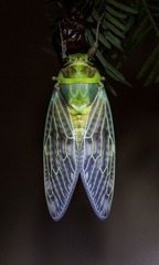 JI7A8740-2.jpg