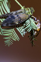 JI7A8757-2.jpg