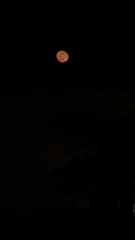 32098058-644B-4337-8FFA-1D87E1458ECB/L0/001