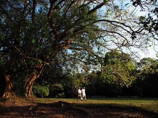 PC111386.jpg