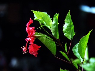 PC080325.jpg