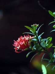 PC080326.jpg