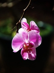 PC080346.jpg