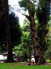 PC090723.jpg