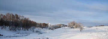 “CF006575”-1.jpg
