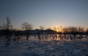 “CF006630”Y.jpg