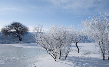 “CF006594”为智能对象-1.jpg