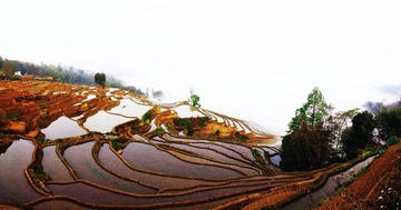 金钩铁线.jpg