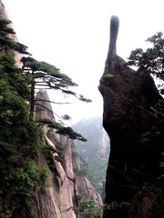 P6212216-仙人指路.JPG