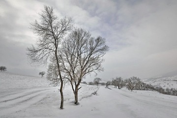 坝上雪原