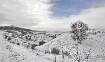雪漠