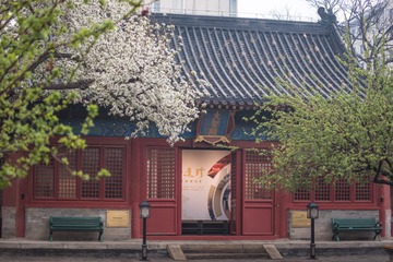 皇家盆景-4225303