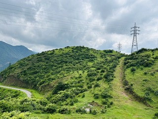332D86B3-DF7F-4136-8617-D34F3A3333CD/L0/001
