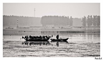 _MG_8527