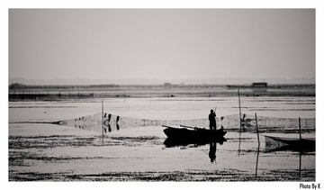 _MG_8545