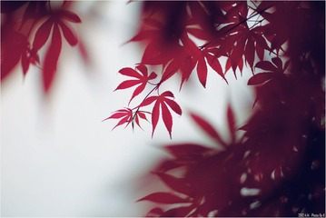 _DSF0144 副本.jpg