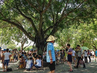 “IMG_0610”为智能对象-1