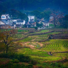 回家