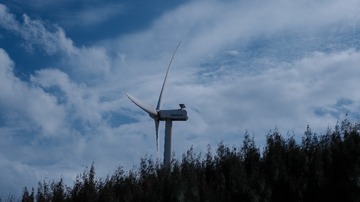 32516
