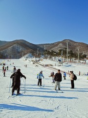 20130216-IMG_0084.jpg