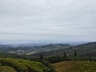 1000054839