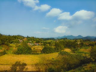 1000064610