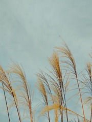 1000051122