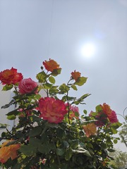 1000042548