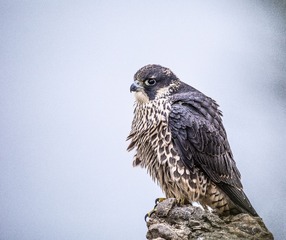 910858