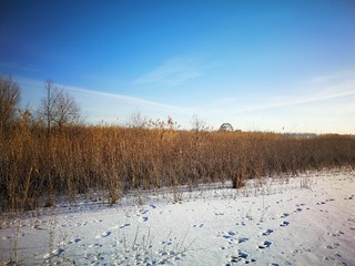 707201