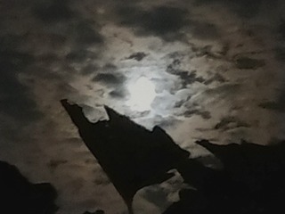 2011626