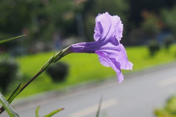 165513