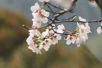 105031