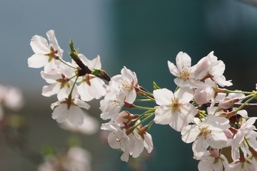 105025